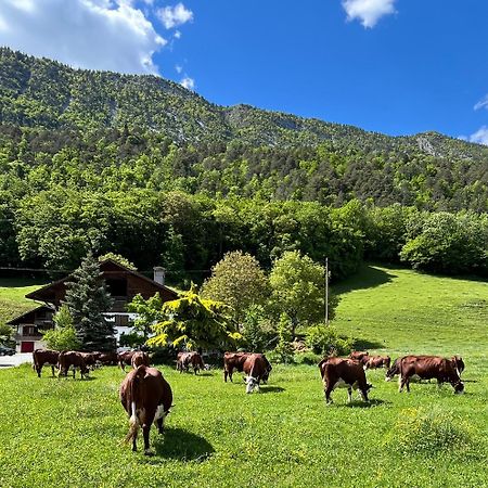 Appartement Lapreski, Spacieux, Proche Lac D'Annecy, Randonnees Montagne Thônes Dış mekan fotoğraf