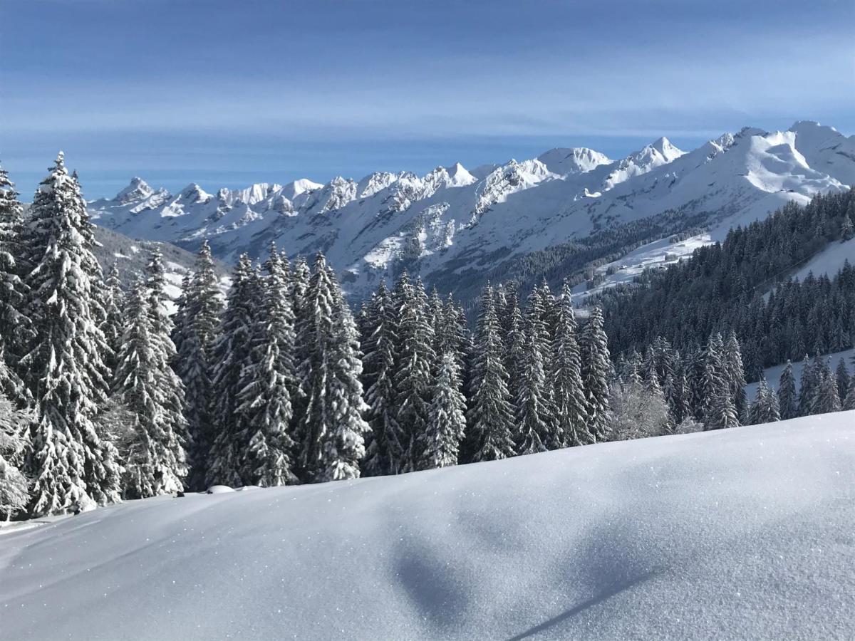 Appartement Lapreski, Spacieux, Proche Lac D'Annecy, Randonnees Montagne Thônes Dış mekan fotoğraf