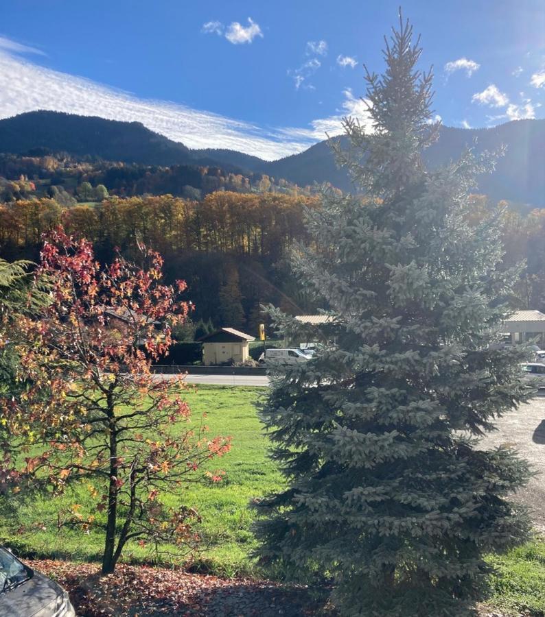 Appartement Lapreski, Spacieux, Proche Lac D'Annecy, Randonnees Montagne Thônes Dış mekan fotoğraf
