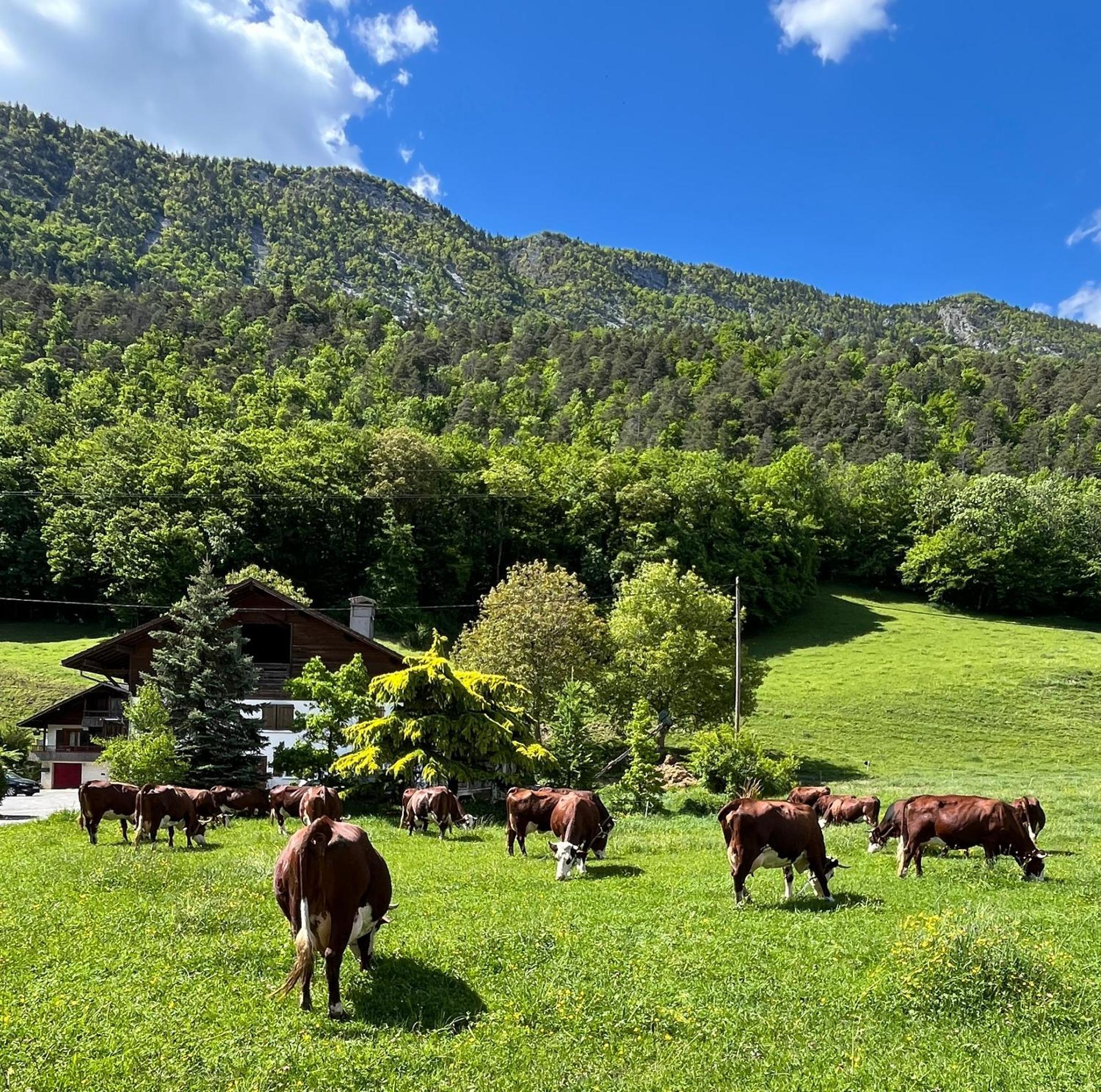Appartement Lapreski, Spacieux, Proche Lac D'Annecy, Randonnees Montagne Thônes Dış mekan fotoğraf